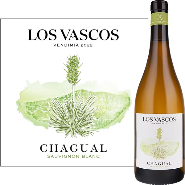 Chagual Sauvignon Blanc, Los Vascos   BIO