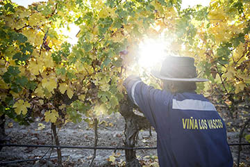 Los Vascos, Chili, Dom. Barons de Rothschild (Lafite)