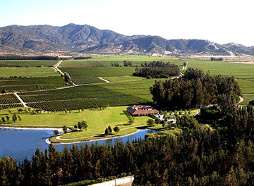 Los Vascos, Chili, Dom. Barons de Rothschild (Lafite)