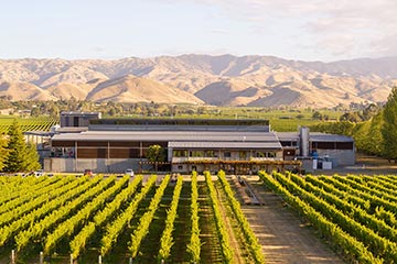 Villa Maria, New Zealand