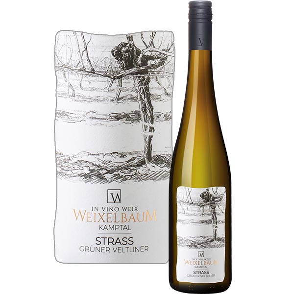 Grüner Veltliner, Kamptal, Weingut Weixelbaum